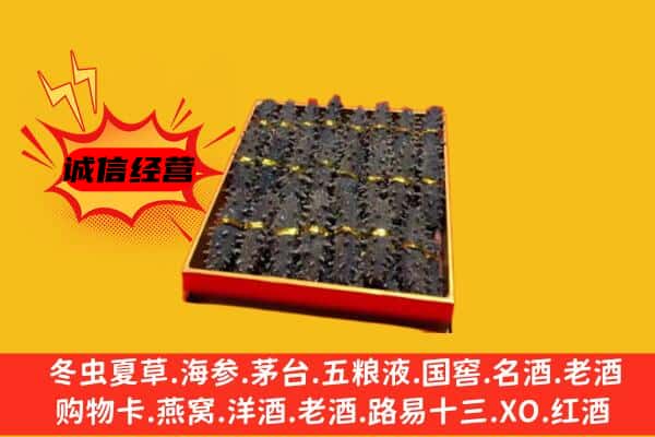 达尔罕茂明安联合旗回收海参