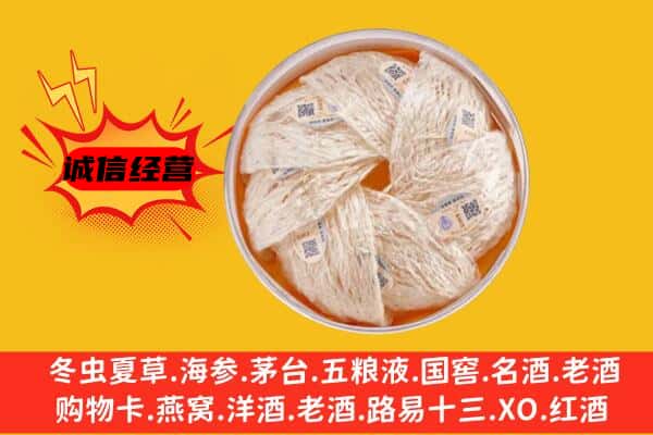 达尔罕茂明安联合旗回收燕窝